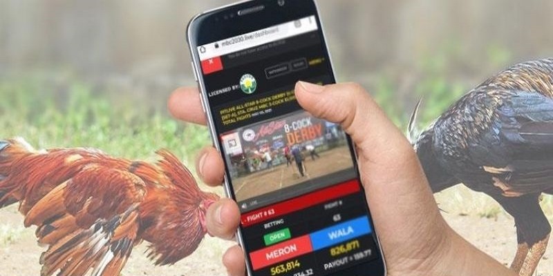 Chọi gà ấn tượng tại nhà cái Top88 uy tín hàng đầu