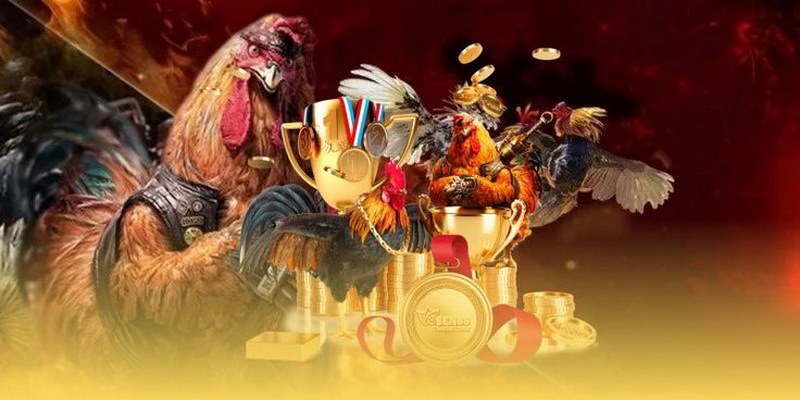 Ưu điểm của hoạt động chọi kê tại Top88